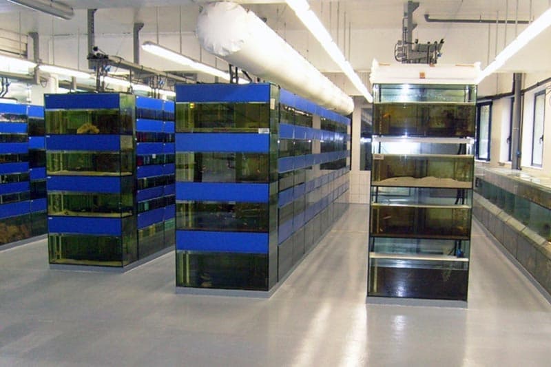 Aquarium Orbita