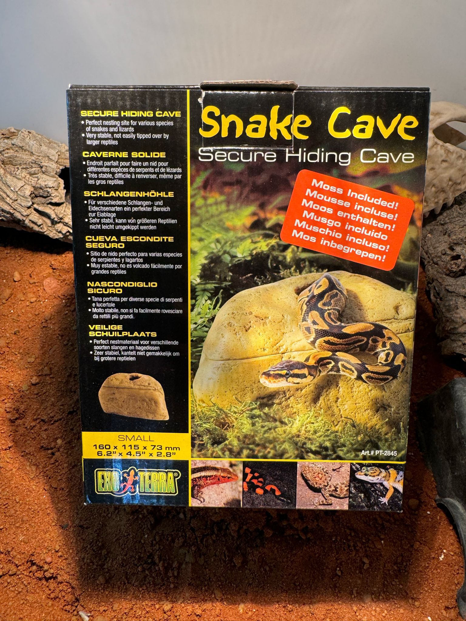 Cueva snake cave